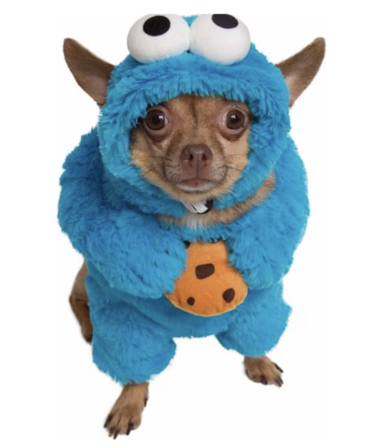 cookie monster dog costume